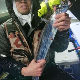 釣果情報・3月28日(土)沼津沖早夜タチウオ