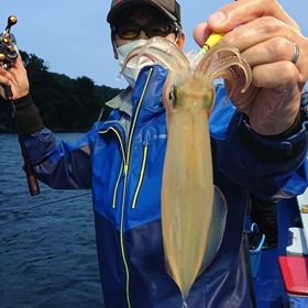 釣果情報・7月3日(金)沼津沖早夜マルイカ