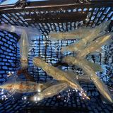 釣果情報・4月2日(金)沼津沖早夜マルイカ