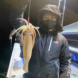 釣果情報・2月19日(土)沼津沖早夜マルイカ
