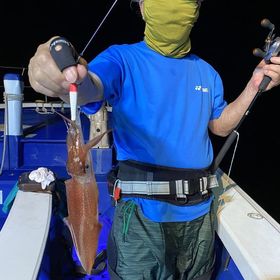 釣果情報・7月27日(水)沼津沖早夜マルイカ