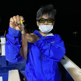 釣果情報・8月28日(日)沼津沖早夜マルイカ