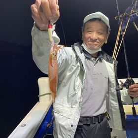 釣果情報・9月29日(木)沼津沖早夜マルイカ