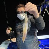 釣果情報・10月13日(木)沼津沖早夜マルイカ