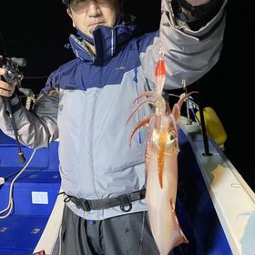 釣果情報・11月12日(土)沼津沖早夜マルイカ