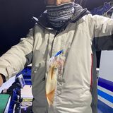 釣果情報・12月30(金)沼津沖深夜マルイカ