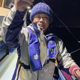 釣果情報・1月13日(金)沼津沖早夜マルイカ