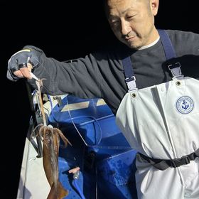 釣果情報・3月24日(金)沼津沖早夜ムギイカ