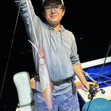 釣果情報・7月25日(火)沼津沖早夜マルイカ