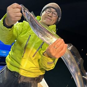 釣果情報・12月11(月)沼津沖早夜タチウオ