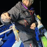 釣果情報・1月8日(月)沼津沖早夜マルイカ