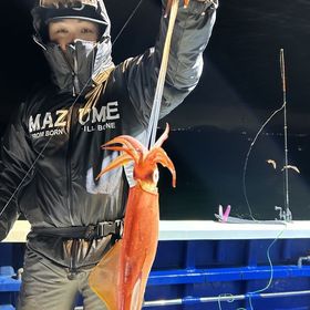 釣果情報・2月22日(木)沼津沖早夜マルイカ