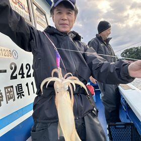 釣果情報・5月2日(木)沼津沖早夜マルイカ