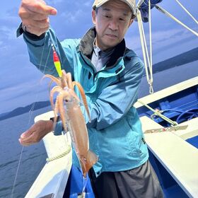 釣果情報・6月4日(火)沼津沖早夜ムギイカ