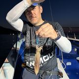 釣果情報・7月4日(木)沼津沖早夜マルイカ