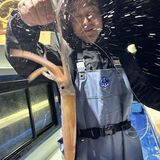 釣果情報・1月19日(日)沼津沖早夜マルイカ・ディープアジング