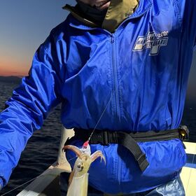 釣果情報・1月22日(水)沼津沖早夜マルイカら