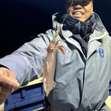 釣果情報・1月26日(日)沼津沖早夜マルイカ