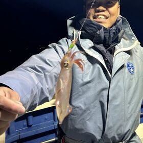 釣果情報・1月26日(日)沼津沖早夜マルイカ