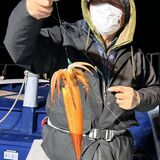 釣果情報・1月31日(金)沼津沖早夜マルイカ