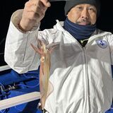 釣果情報・2月1日(土)沼津沖早夜マルイカ・ディープアジング