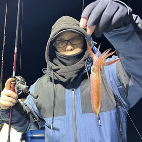 釣果情報・2月14日(金)沼津沖深夜マルイカ
