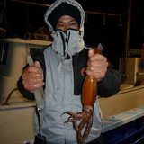 ２月８日（月）沼津沖早夜ヤリイカ、マルイカ